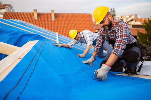 Professional Roofing service in Woodfin, NC