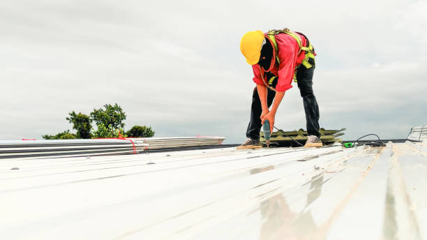 Best Roof Maintenance and Cleaning  in Woodfin, NC