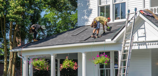 Best Chimney Flashing Repair  in Woodfin, NC